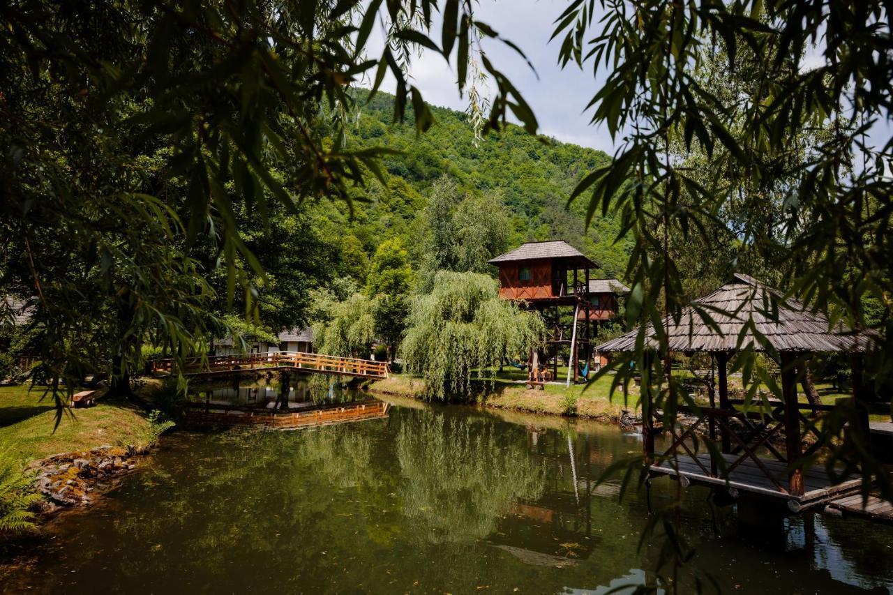 Fratii Jderi - Utopia Verde เบรโซย ภายนอก รูปภาพ